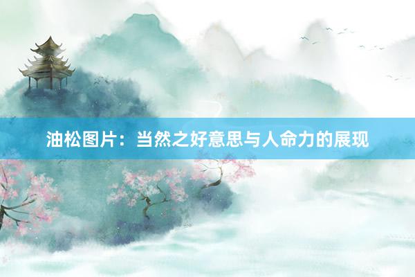 油松图片：当然之好意思与人命力的展现