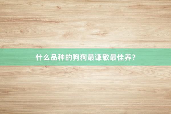 什么品种的狗狗最谦敬最佳养？
